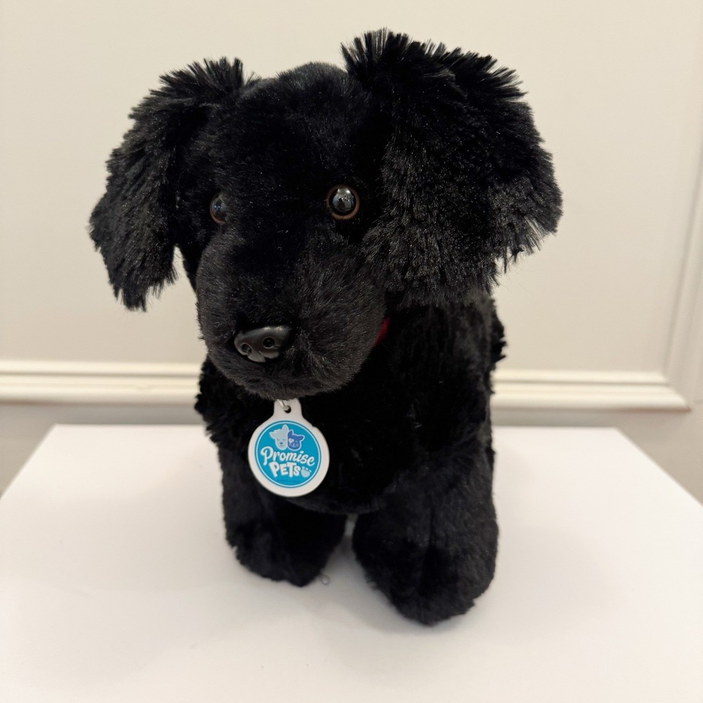Build-A-Bear Workshop Black Lab Plush Puppy 12"‎ Promise Pets Stuffed Animal